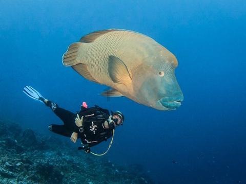 救生艇逃生