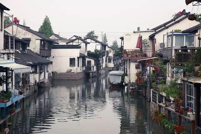 强大的狮子拼图
